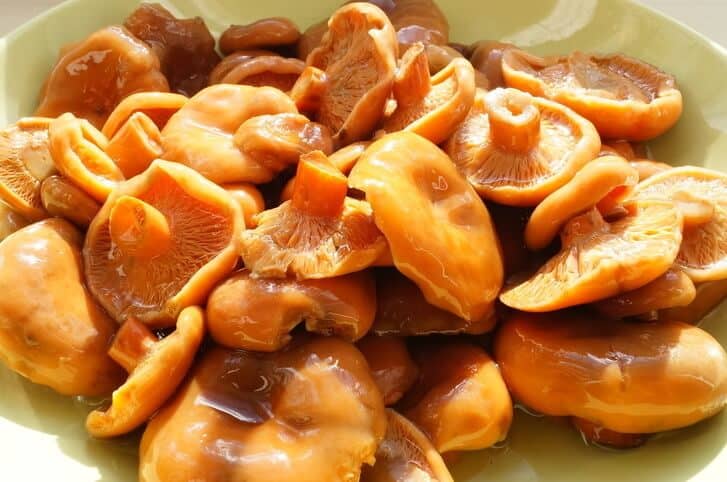 Маринованные грибы рыжики рецепты приготовления