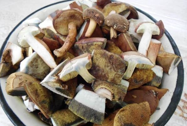 Как вкусно пожарить польский гриб? Самые лучшие рецепты!