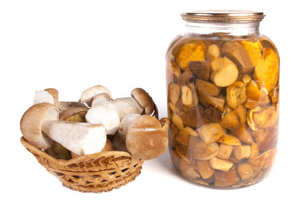 Как вкусно солить белые грибы — проверенные методы