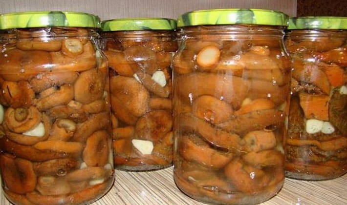 Грибы с морковью на зиму - рецепт приготовления в банке, горячей или холодной