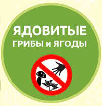 Предотвращение отравления ядовитыми грибами и ягодами | www.adm-tavda.ru