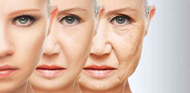 Помогает замедлить процесс старения