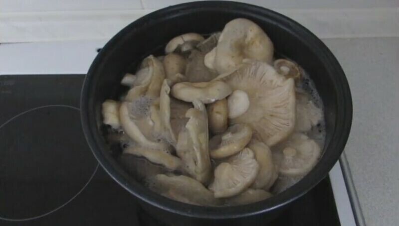 Как правильно солить голодные грибы на зиму, используя комбинацию горячего и холодного