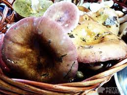 Рецепт: Жареные пельмени｜ очень сладкий гриб.