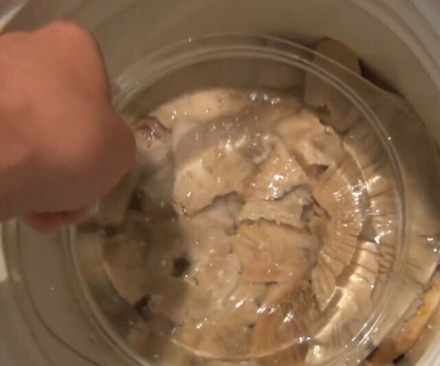 Как правильно солить грибы звездчатка в домашних условиях на зиму методом горячего и холодного посола