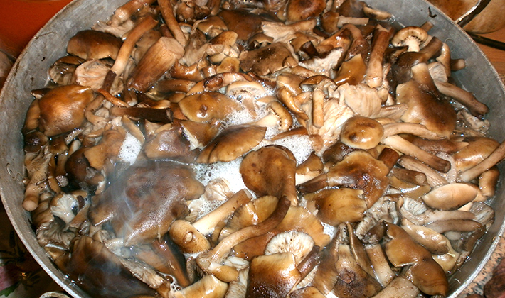 Маринованные буковые грибы: рецепт с фото, особенности приготовления - Samchef.ru