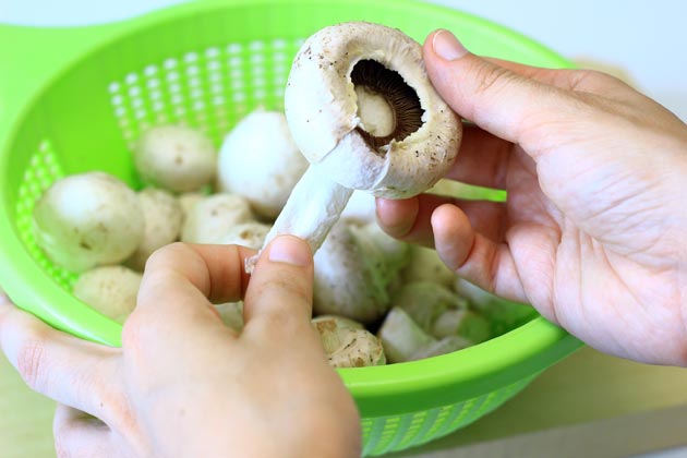 Как почистить грибы
