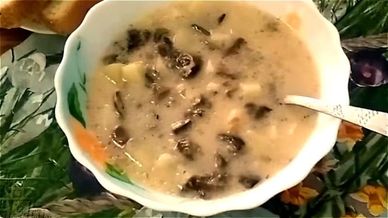 Грибной суп со свежими грибами и плавленым сыром