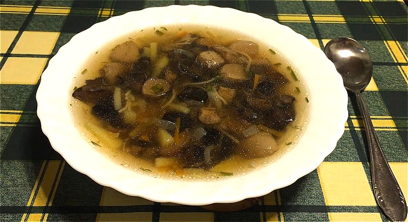 Грибной суп с подосиновиками и дикими боровиками