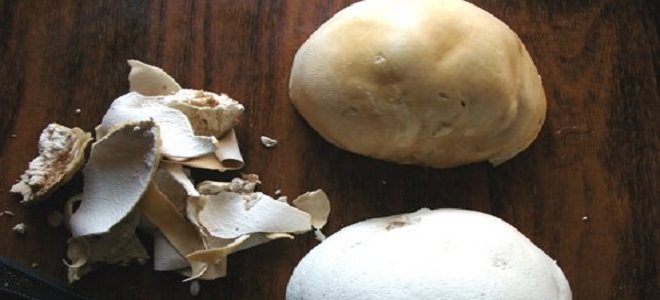 Как чистить грибы-куколки
