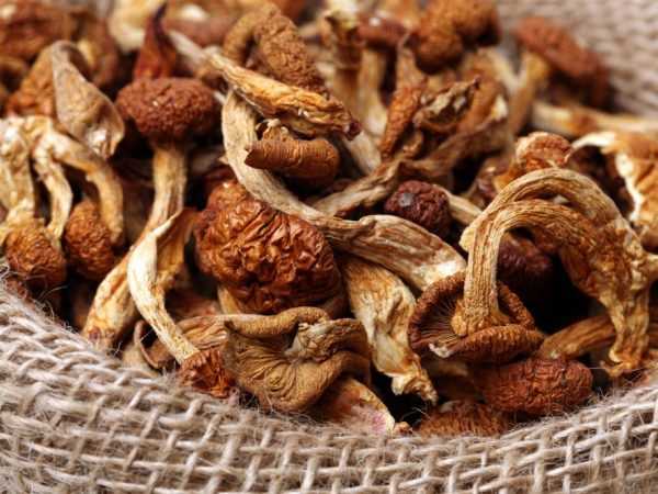 Соус из сушеных грибов: подборка лучших рецептов