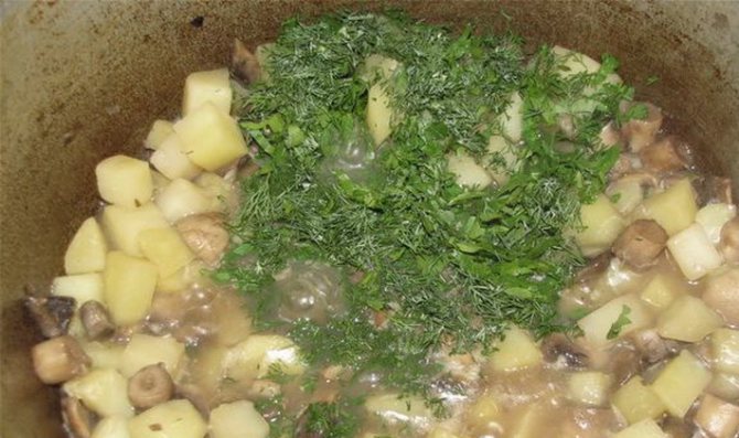Как приготовить сушеные грибы с картофелем: рецепты вкусных блюд