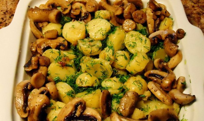 Как приготовить сушеные грибы с картофелем: вкусные рецепты