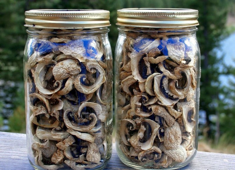 Как правильно хранить сушеные грибы в квартире