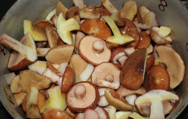 Соленые и масляные грибы - рецепт с шагами и фотографиями на Povar.ru