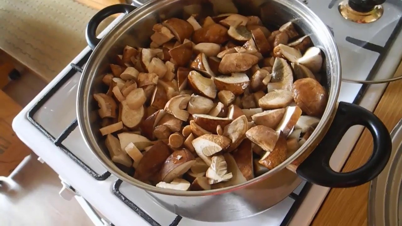 Как приготовить грибы - простой пошаговый рецепт с фотографиями