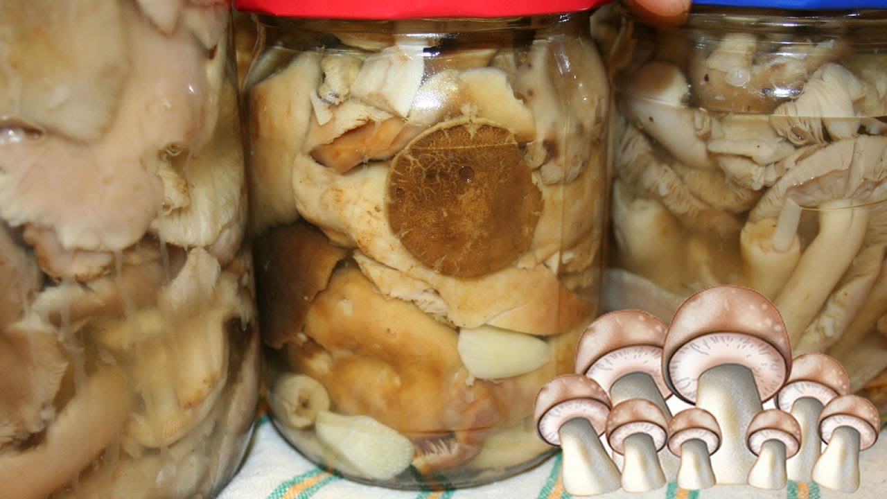 Количество и хранение маринованных грибов в домашних условиях