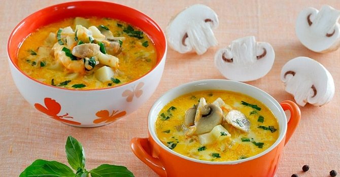 Куриный грибной суп с грибами - полезный и простой рецепт - Новости сегодня