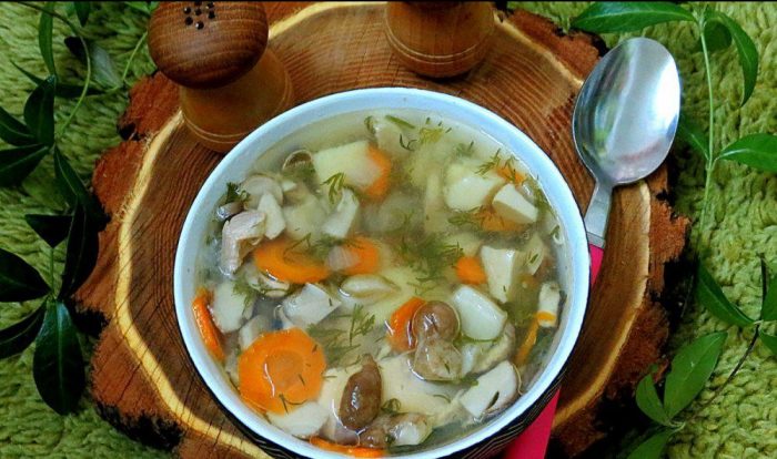 ТОП-10 лучших и простых рецептов грибногой супа из подосиновиков