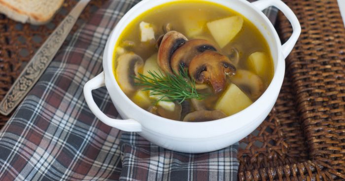 10 лучших и простых рецептов супа из шампиньонов на курином бульоне