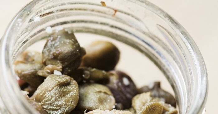 Как приготовить соленые грибы чернушки — ТОП-10 рецептов