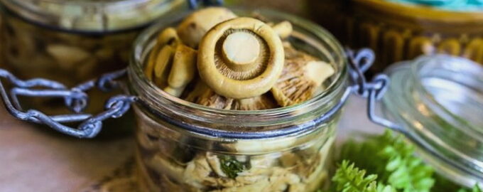 Белые молочные маринованные грибы на зиму - 10 рецептов с пошаговыми фото