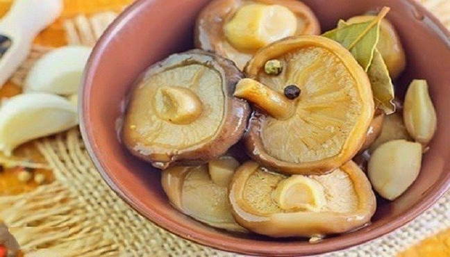 Соте из грибов с укропом на зиму - рецепт с пошаговыми фото