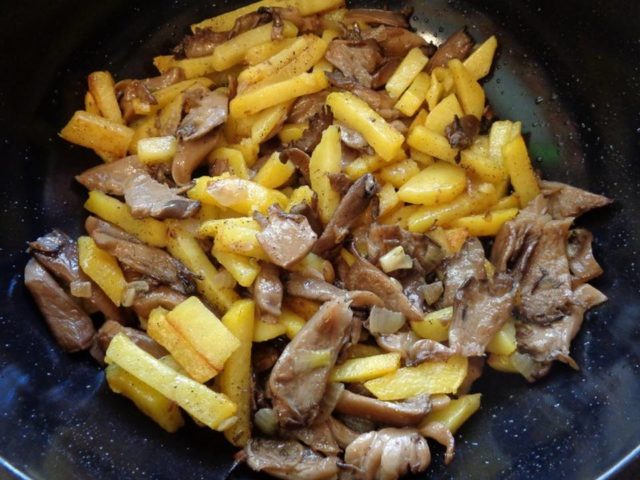 Жареные грибы боровики: как приготовить, фото, рецепты с картофелем, сметаной
