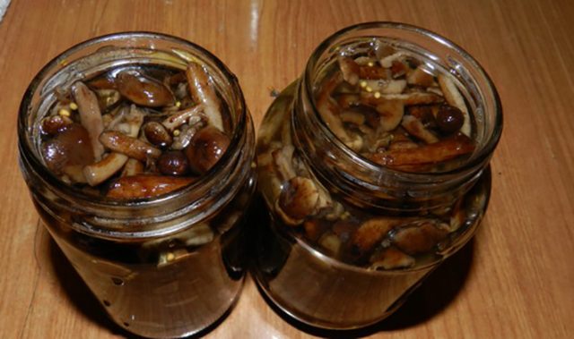 Как долго варить свежие грибы фасоль для жарки: рецепты приготовления на зиму, с луком, с топленым маслом, в банках