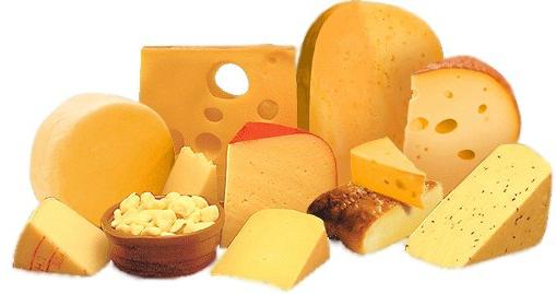 Твердый сыр: классификация, производство и польза для здоровья