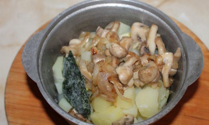 12 самых простых и вкусных рецептов пюре с грибами