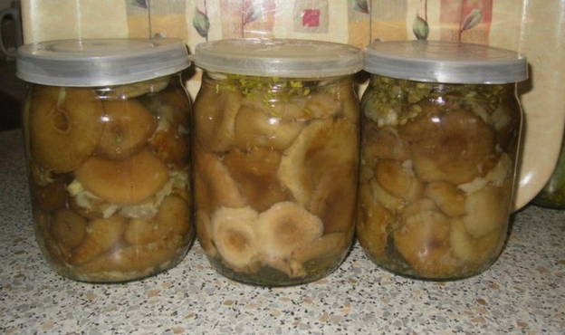 Фундук на зиму - 24 грибные консервации с пошаговыми фото