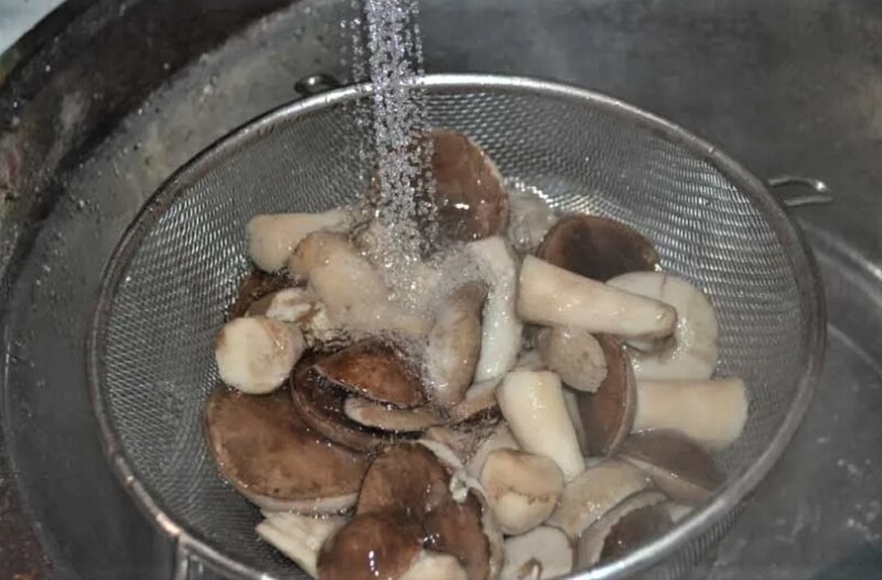 мытье грибов