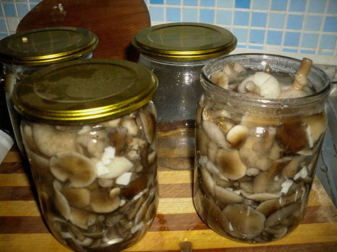 Маринованные белые грибы на зиму - 7 пошаговых рецептов в банках