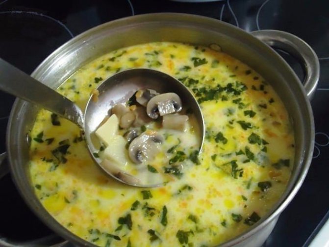 Как приготовить грибной суп-пюре из свежих шампиньонов со сливками
