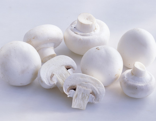 Сливочные грибы в соусе: диетический вариант и пикантный рецепт | WDAY