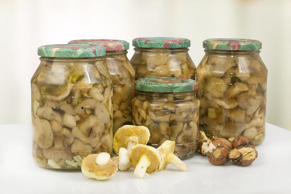 Советы сборщикам грибов: как выбрать грибы для засолки и 2 способа засолки грибов