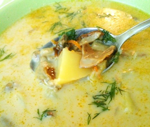 Сырный суп с сушеными грибами рецепт с пошаговым фото
