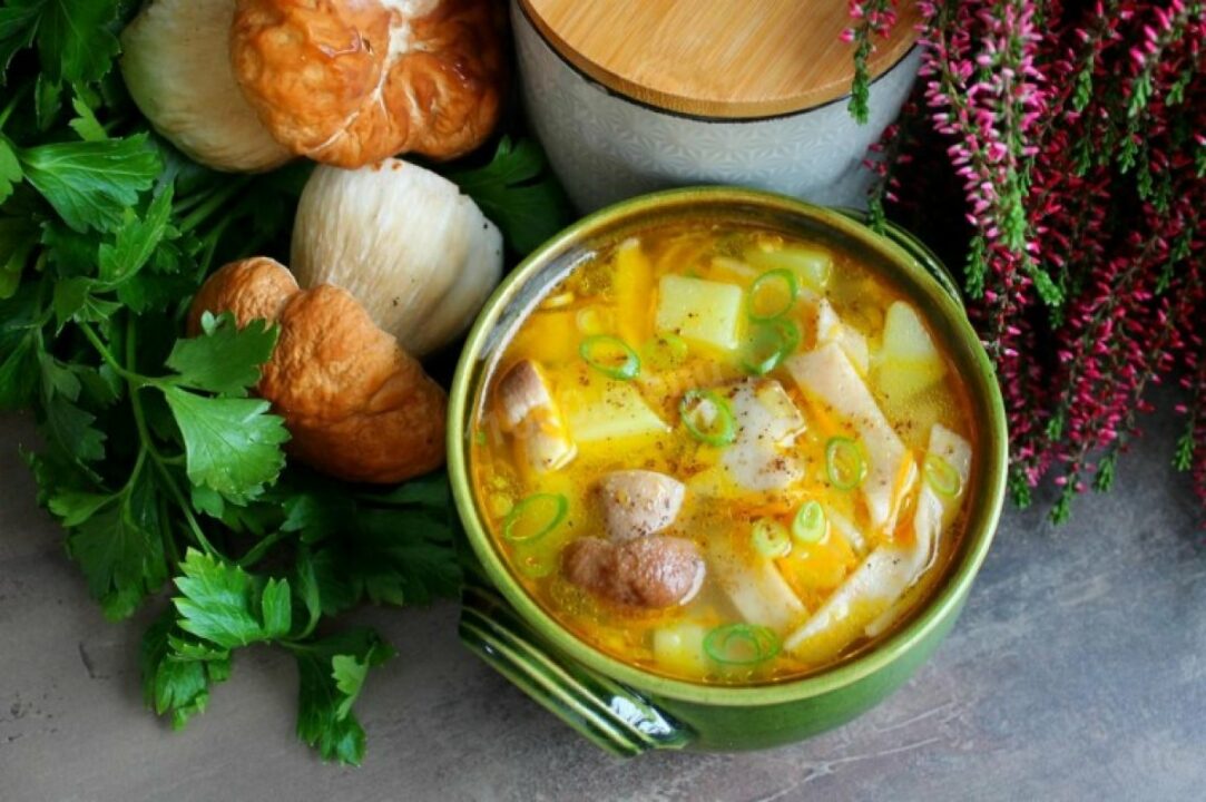 Суп из белых грибов - 15 самых вкусных рецептов