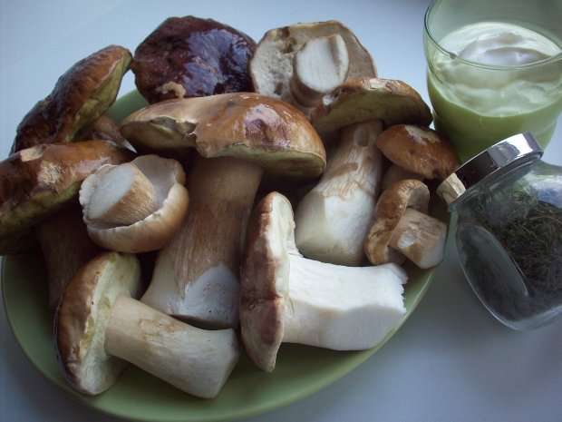 Белые грибы из леса