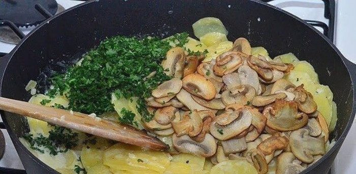 11 самых лучших рецептов картошки с грибами на сковороде со сметаной