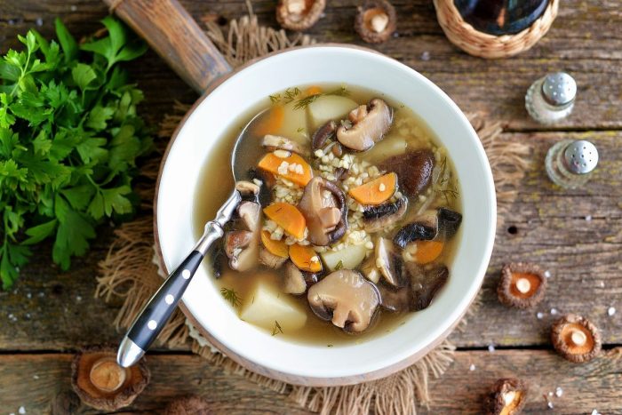 12 лучших рецептов грибного супа на мясном бульоне