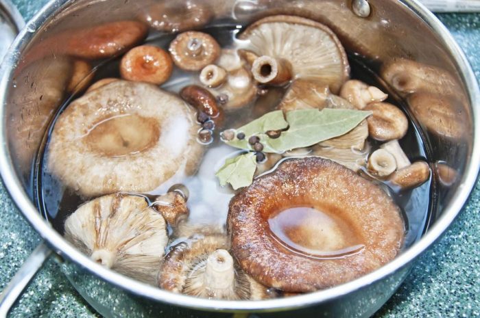 Сколько варить грибы для засолки по времени и лучшие рецепты приготовления