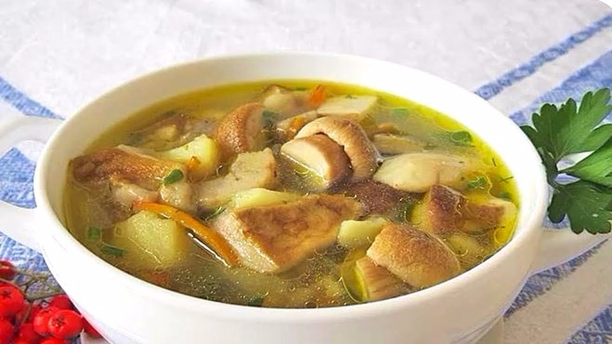 Суп из белых грибов - вкусный, острый и сытный - Белые грибы