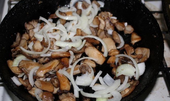 Запеченные пельмени: Рецепты приготовления грибов