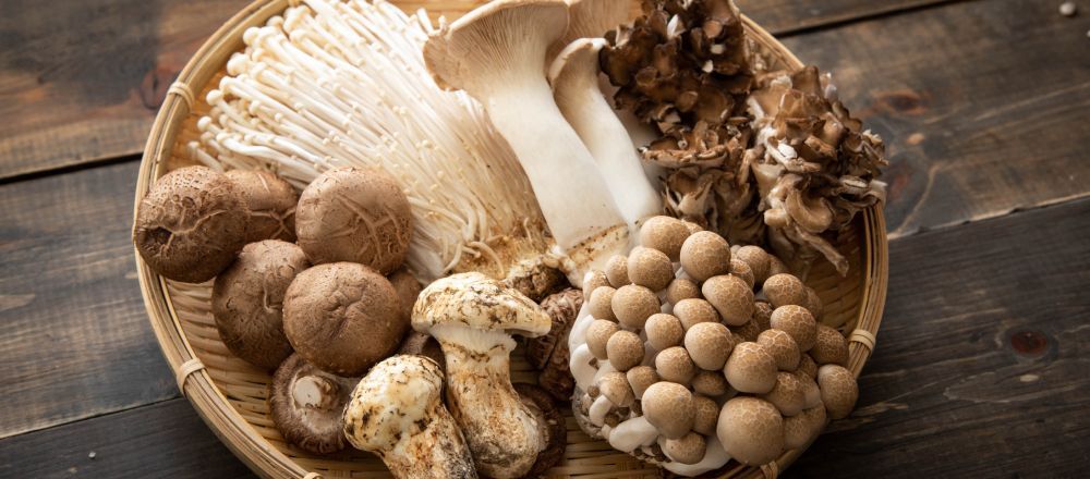 Грибы мира: популярные грибные блюда многих стран - вкусный блог с рецептами, фото и видео