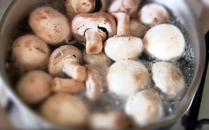 Как долго варить свежие грибы до мягкости? - В поисках грибов