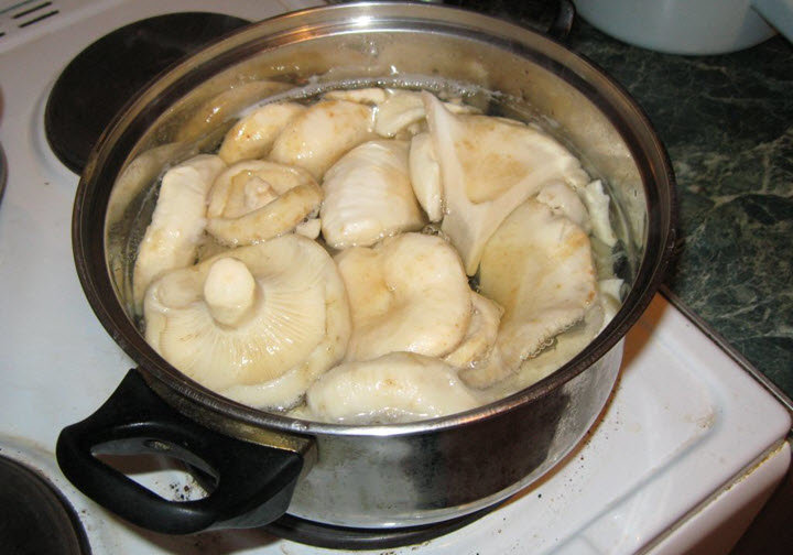 Как приготовить молочные грибы: до мягкости, посолить на зиму, суп, рецепты приготовления