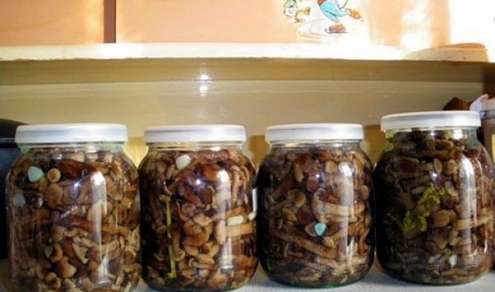 Соленые грибы на зиму: фото и видео рецепты приготовления грибов для хранения на зиму