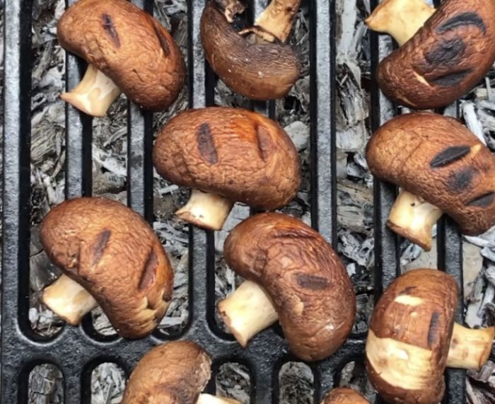 16 лучших рецептов приготовления грибов на барбекю, в духовке и на гриле